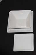 dish