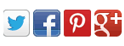 social media icons for Twitter, Facebook, Pinterest anf Google +